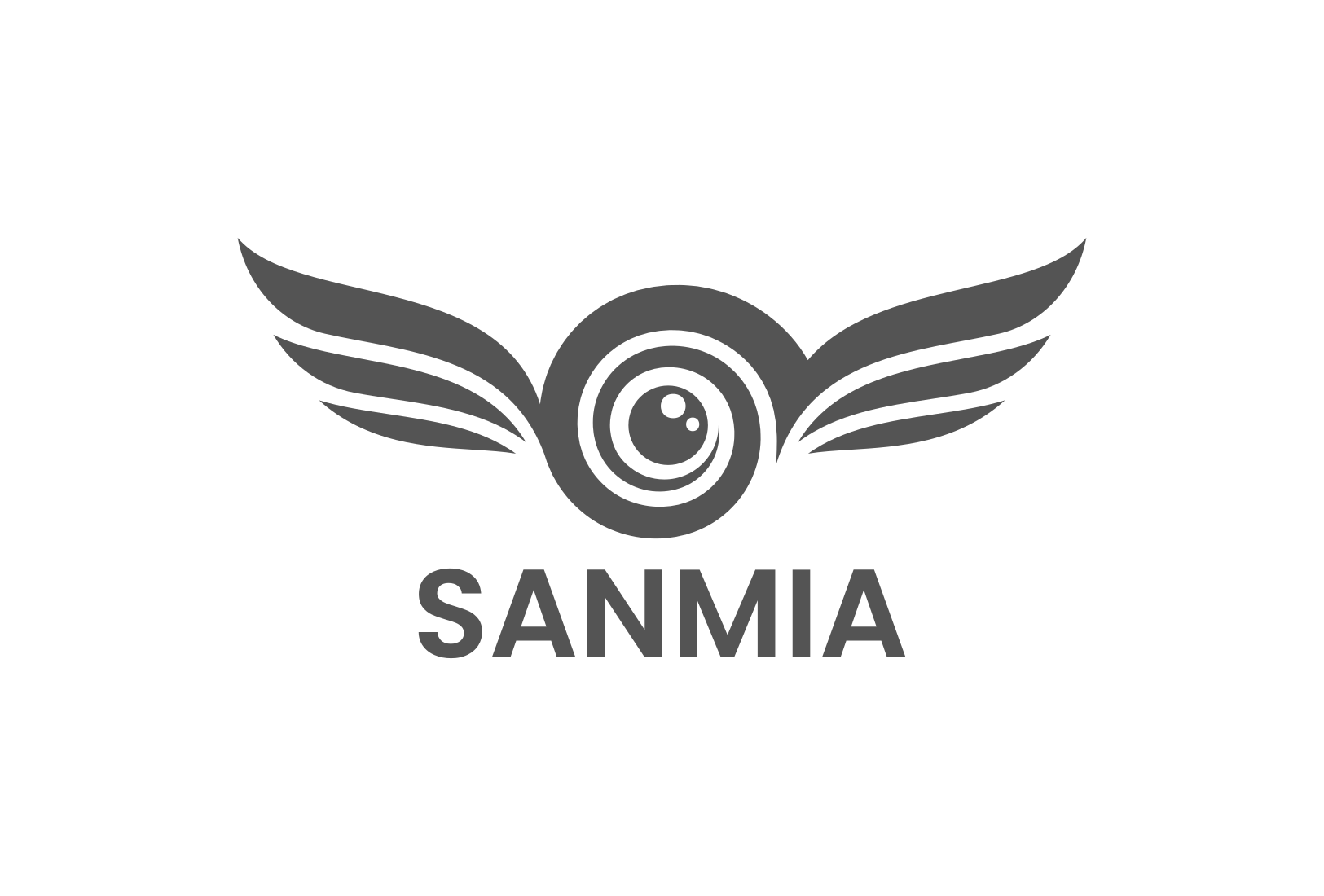 Sanmia Drone